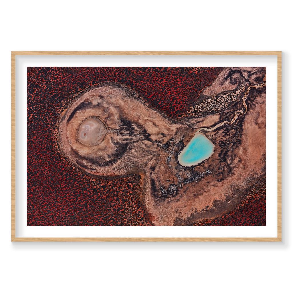 Internal, Shark Bay, Horizontal Print, natural Victorian Ash frame