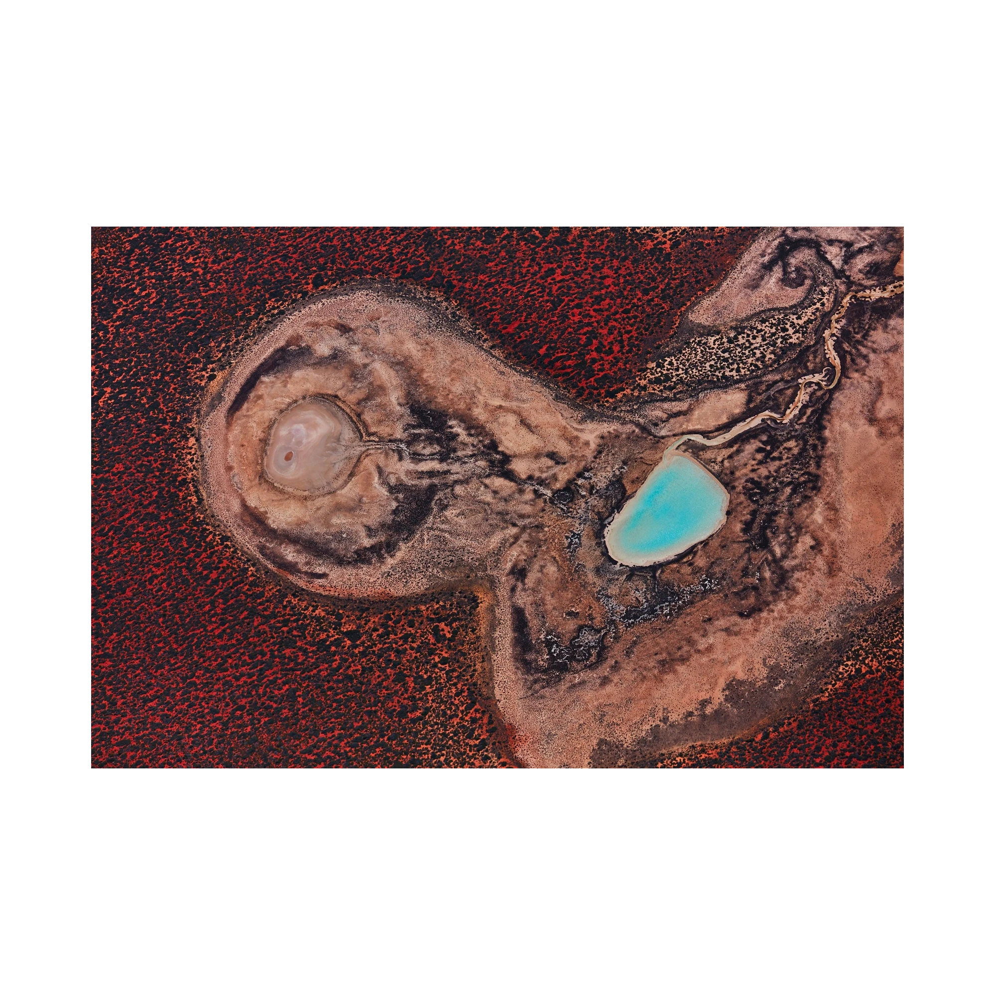 Internal, Shark Bay, Horizontal Print, print only