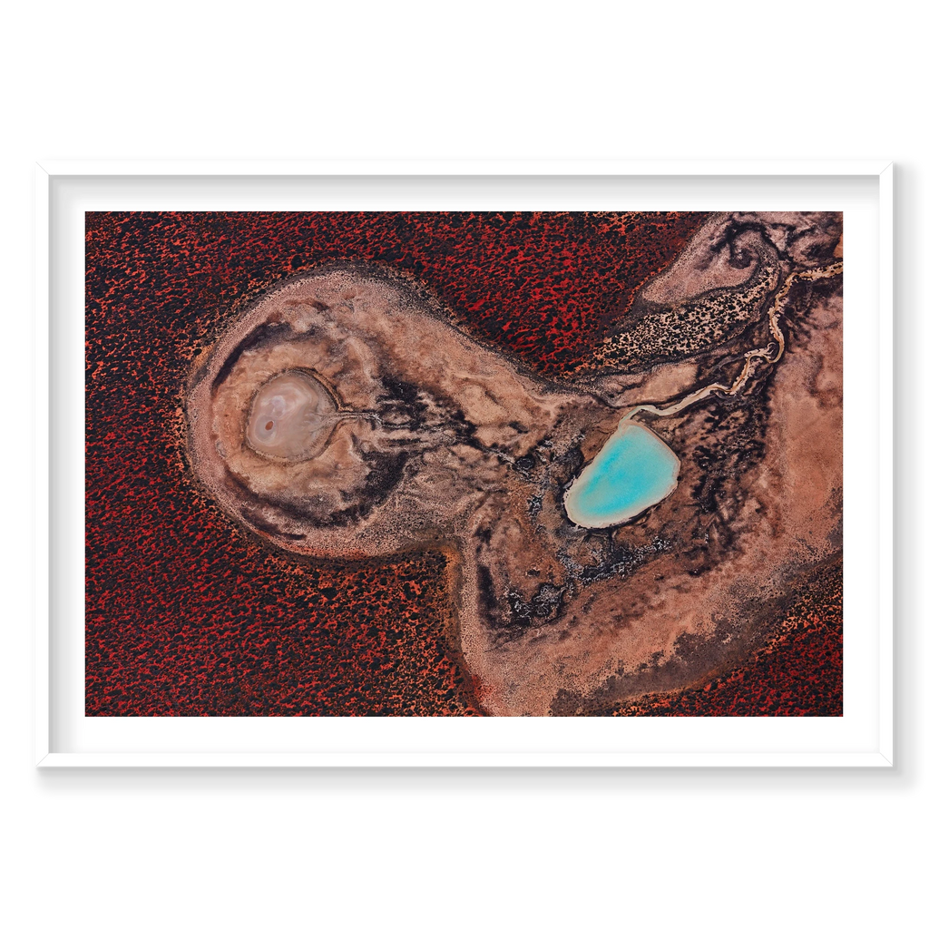 Internal, Shark Bay, Horizontal Print, white Victorian Ash frame