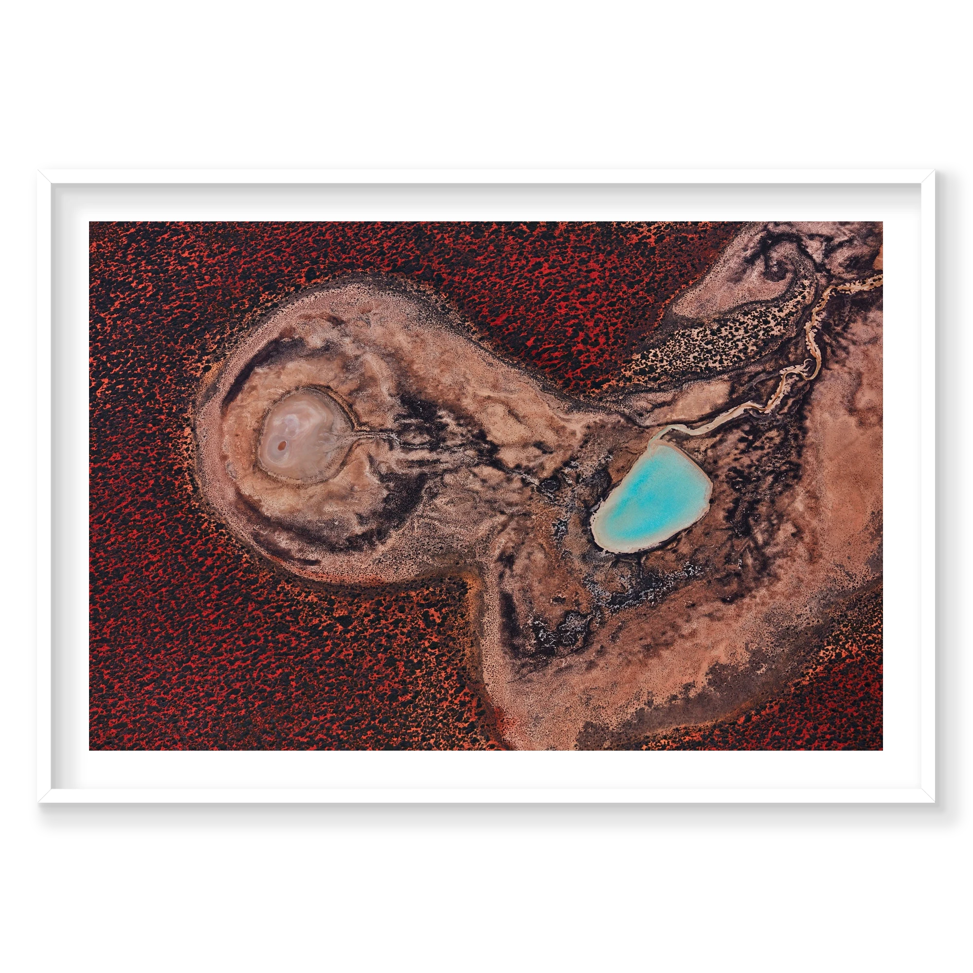 Internal, Shark Bay, Horizontal Print, white Victorian Ash frame