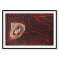 Outback, Shark Bay, Horizontal Print, black Victorian Ash frame