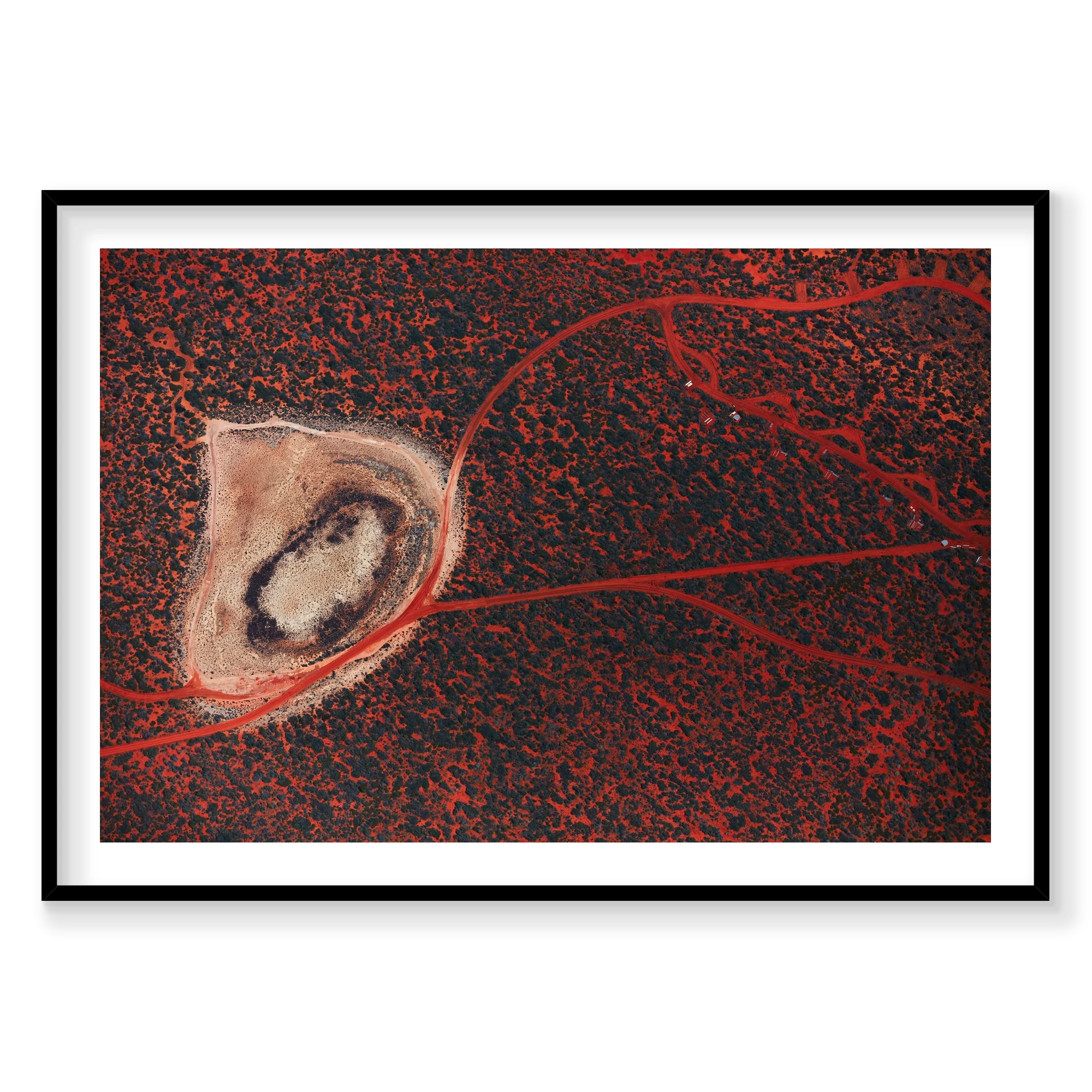Outback, Shark Bay, Horizontal Print, black Victorian Ash frame