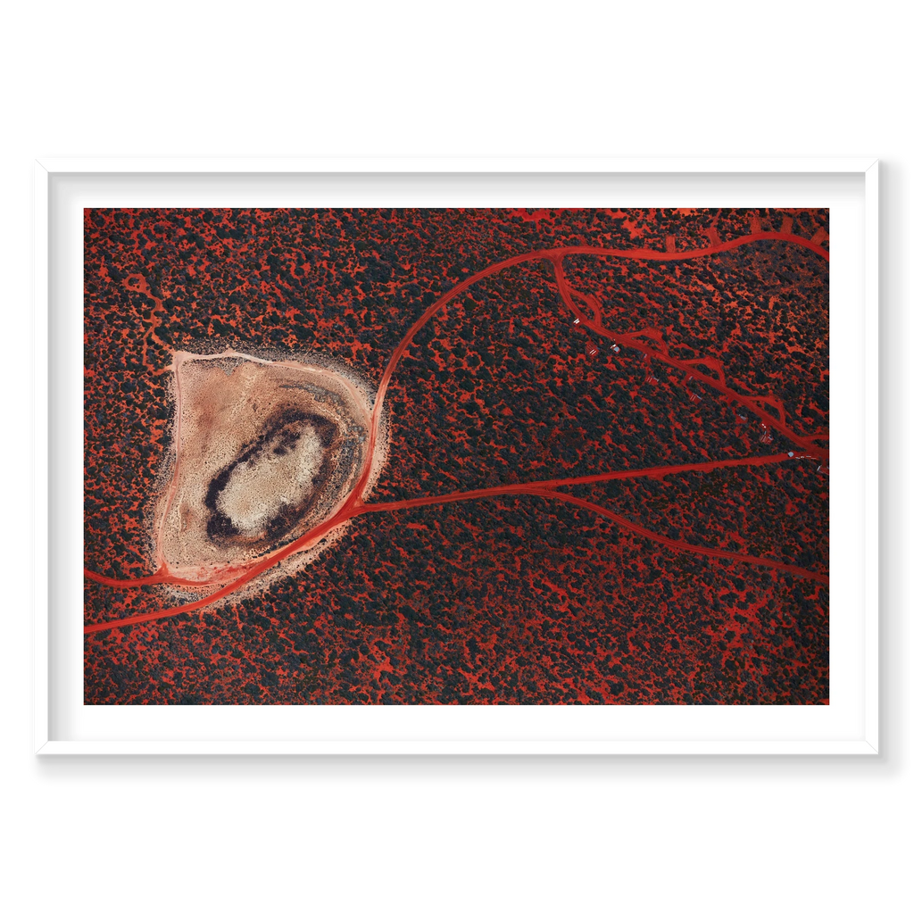 Outback, Shark Bay, Horizontal Print, white Victorian Ash frame
