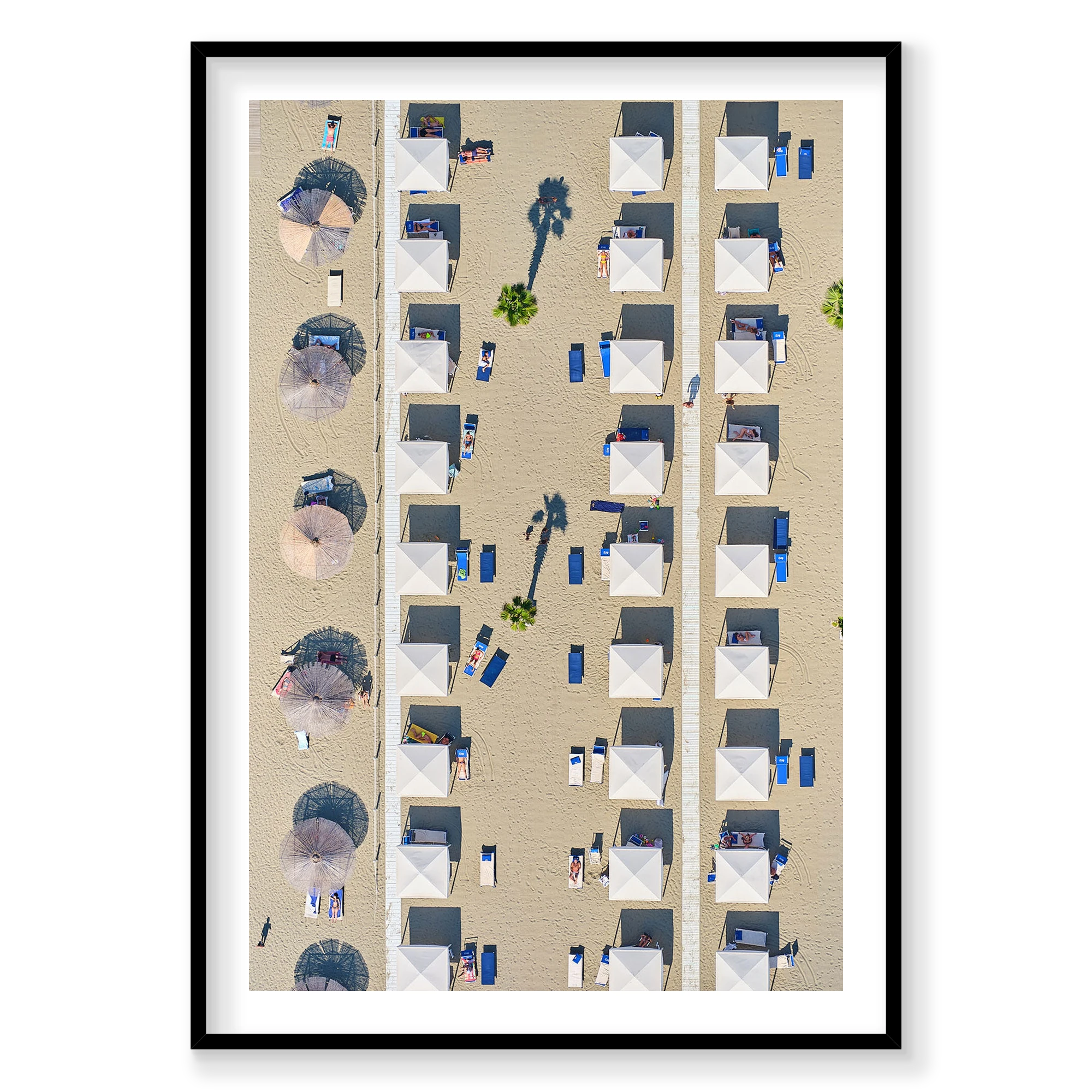 Palm Shade, Italy, Vertical Print, black Victorian Ash frame