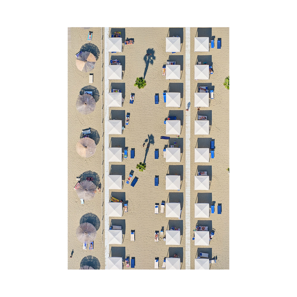 Palm Shade, Italy, Vertical Print, print only