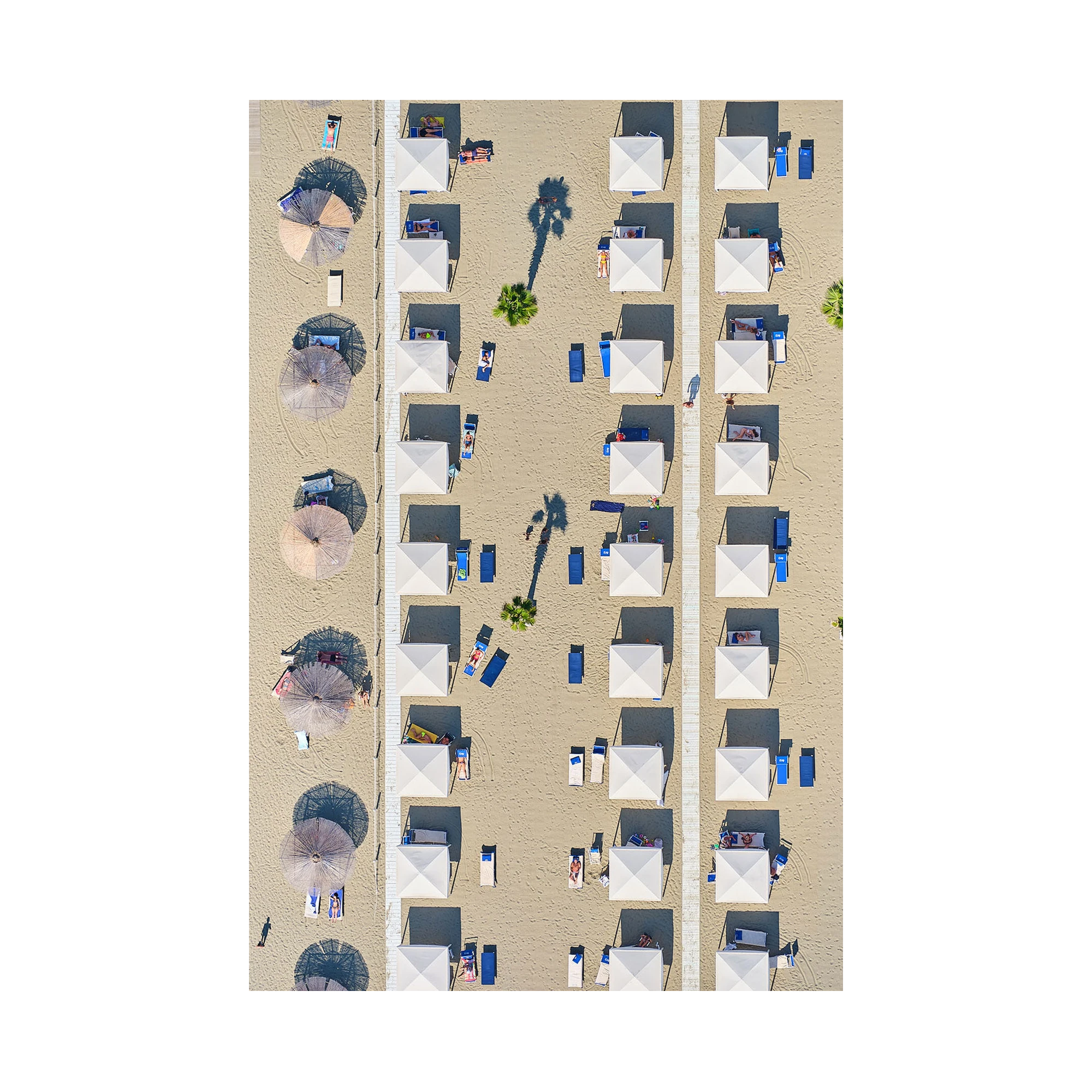 Palm Shade, Italy, Vertical Print, print only