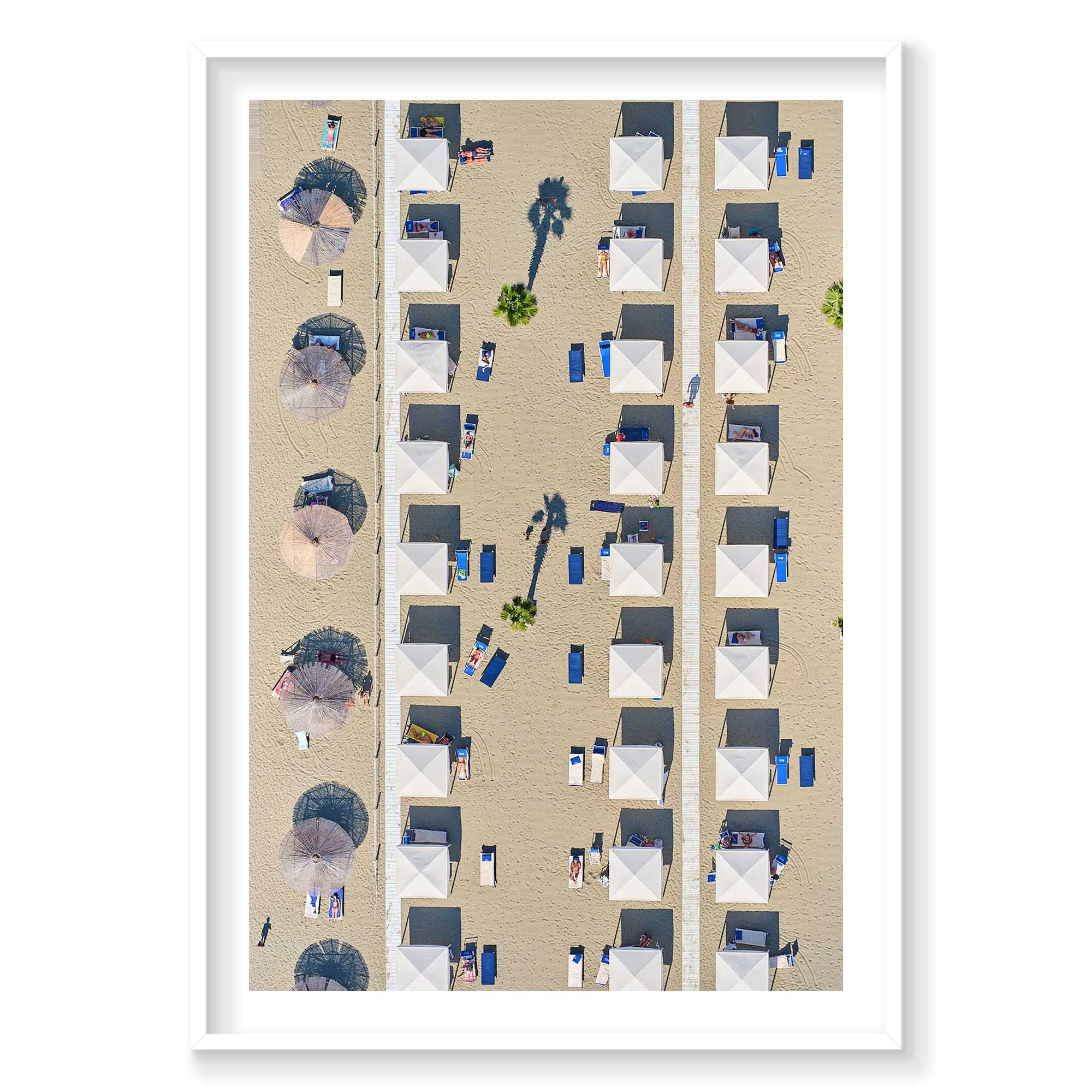 Palm Shade, Italy, Vertical Print, white Victorian Ash frame