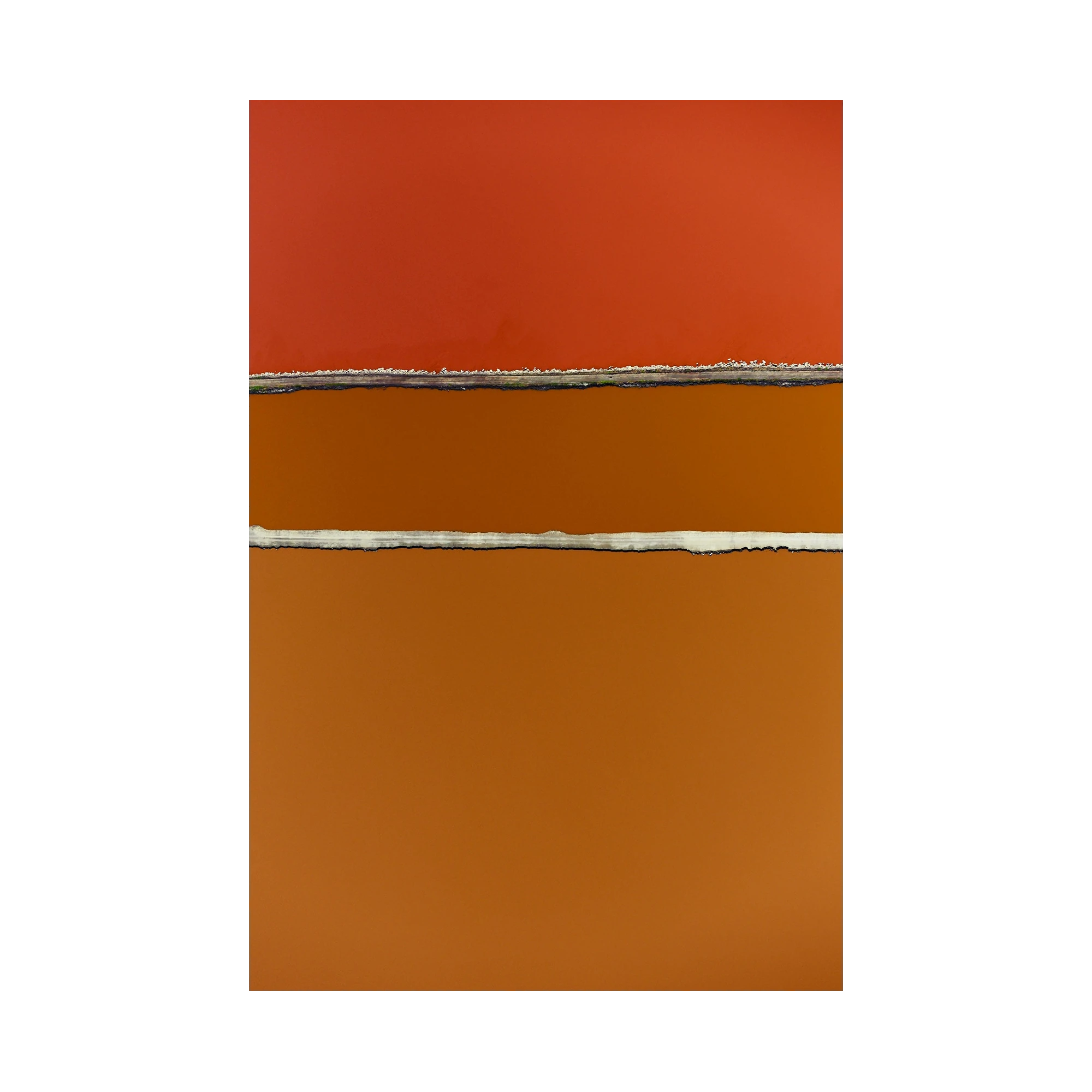 Partitions, San Francisco Bay, Vertical Print, print only