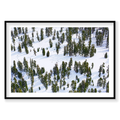 Pines, Lake Tahoe, Horizontal Print, black Victorian Ash frame