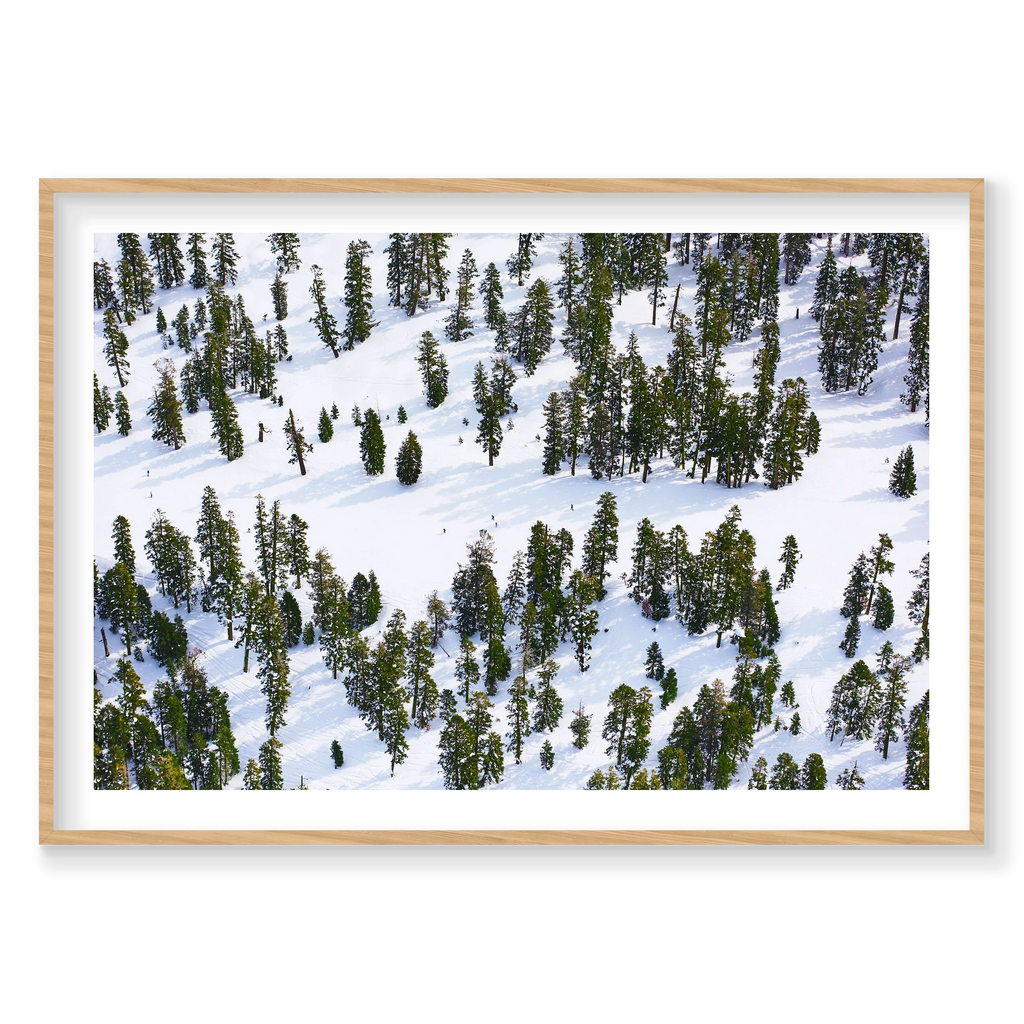 Pines, Lake Tahoe, Horizontal Print, natural Victorian Ash frame