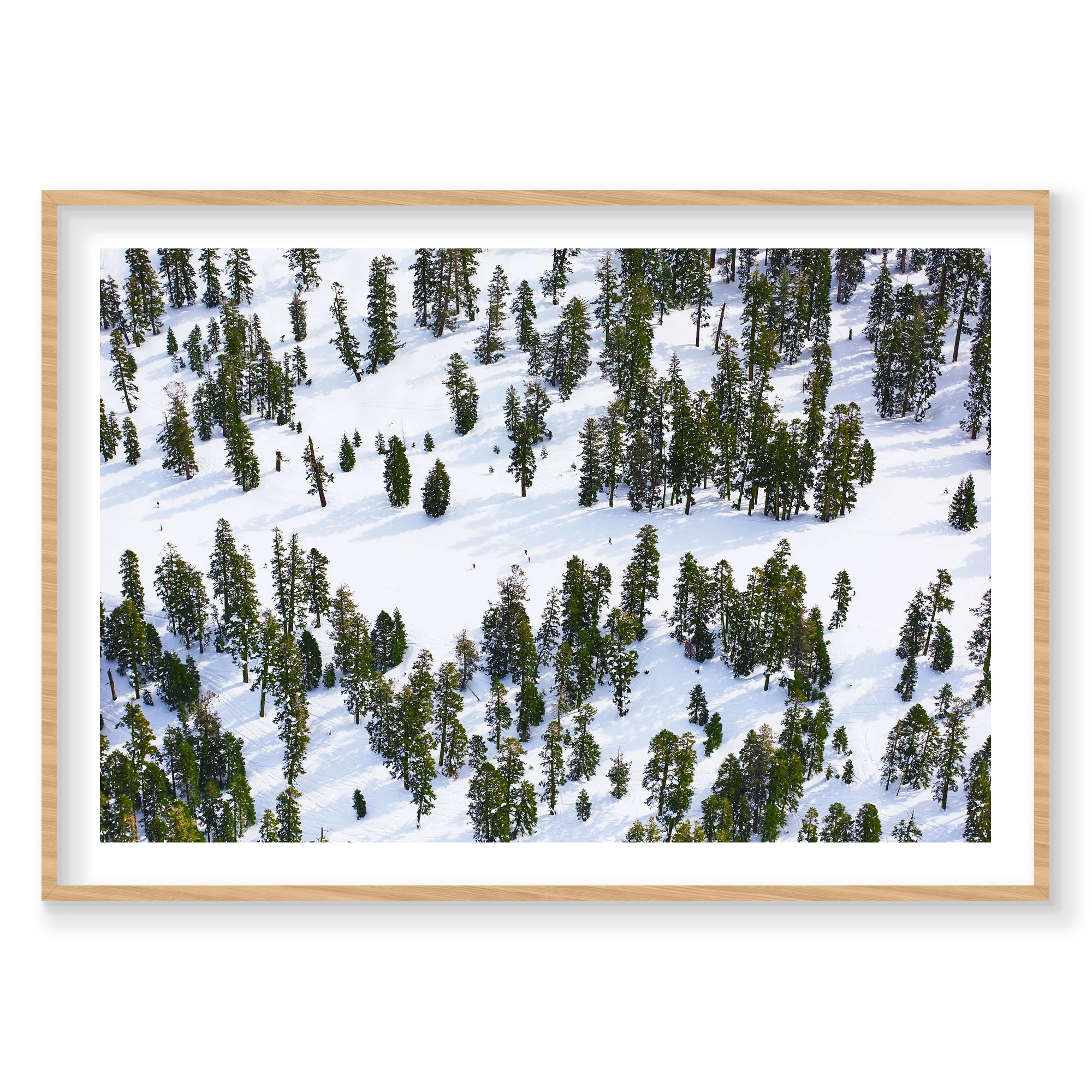 Pines, Lake Tahoe, Horizontal Print, natural Victorian Ash frame