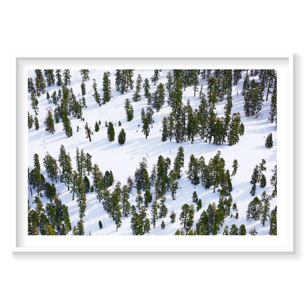 Pines, Lake Tahoe, Horizontal Print, white Victorian Ash frame