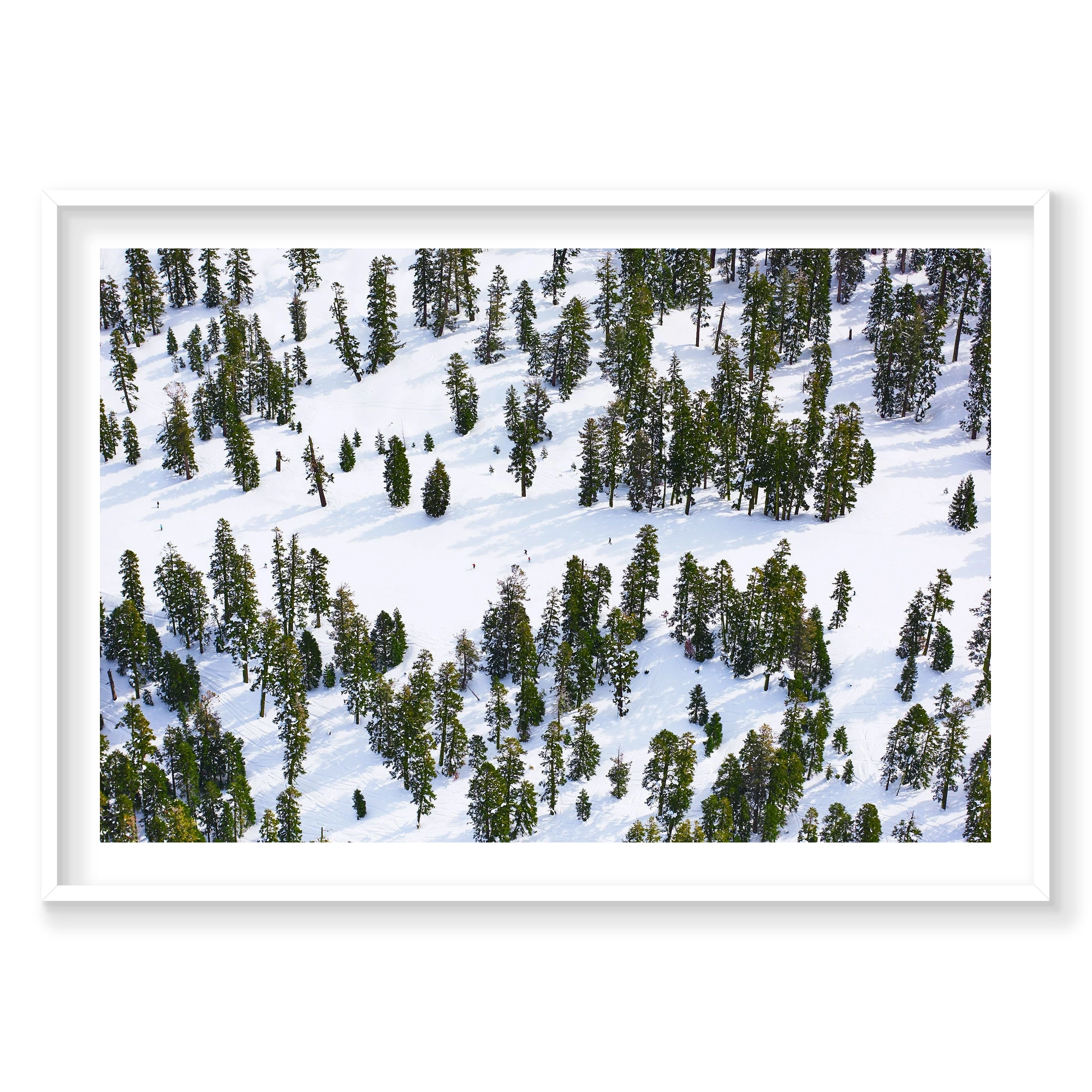 Pines, Lake Tahoe, Horizontal Print, white Victorian Ash frame