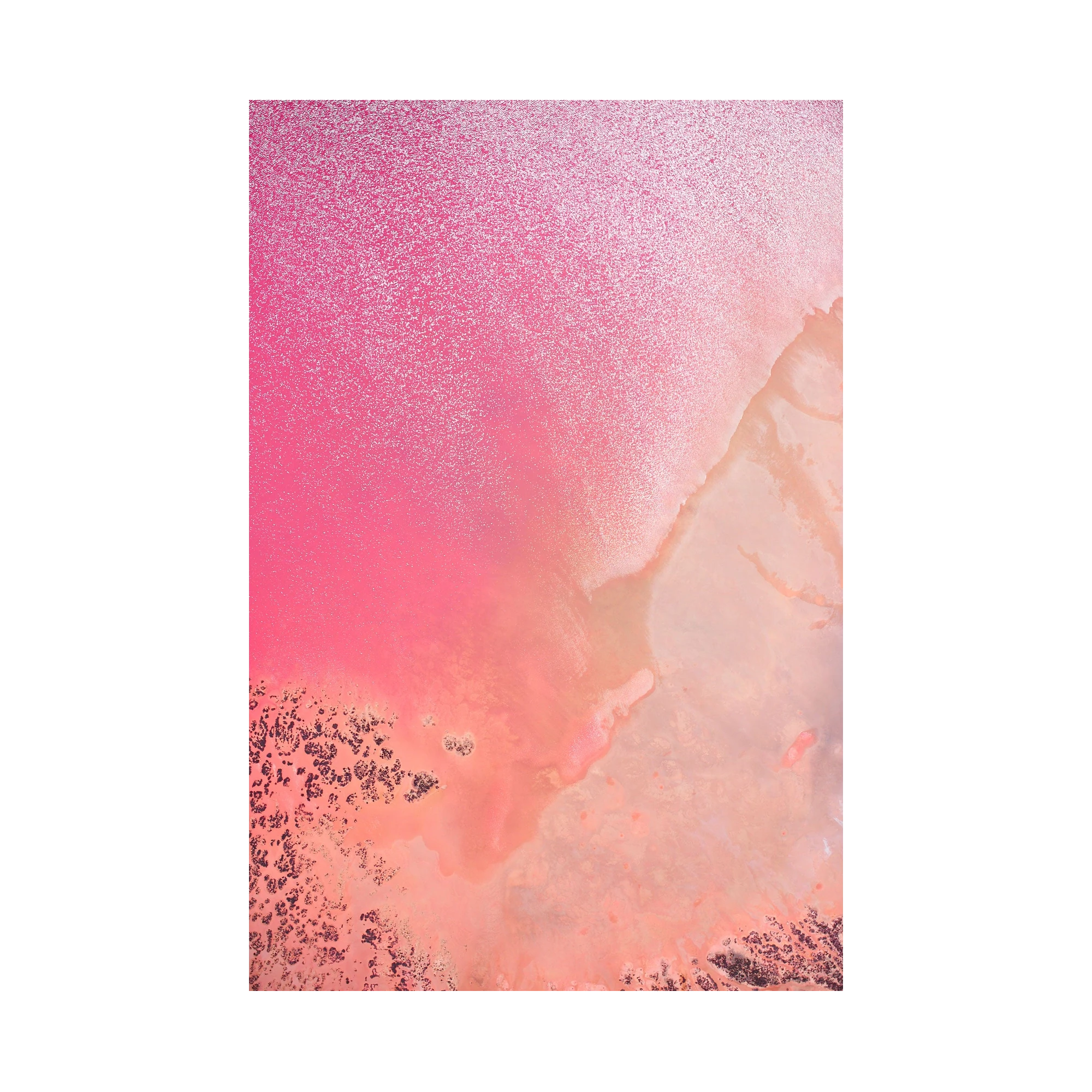 Reflections, Hutt Lagoon, Vertical Print, print only