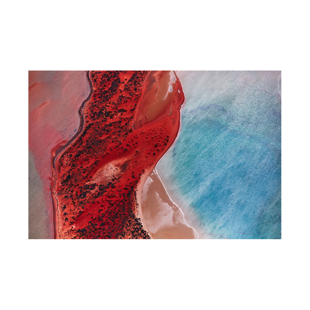 Reflections, Shark Bay, Horizontal Print, print only