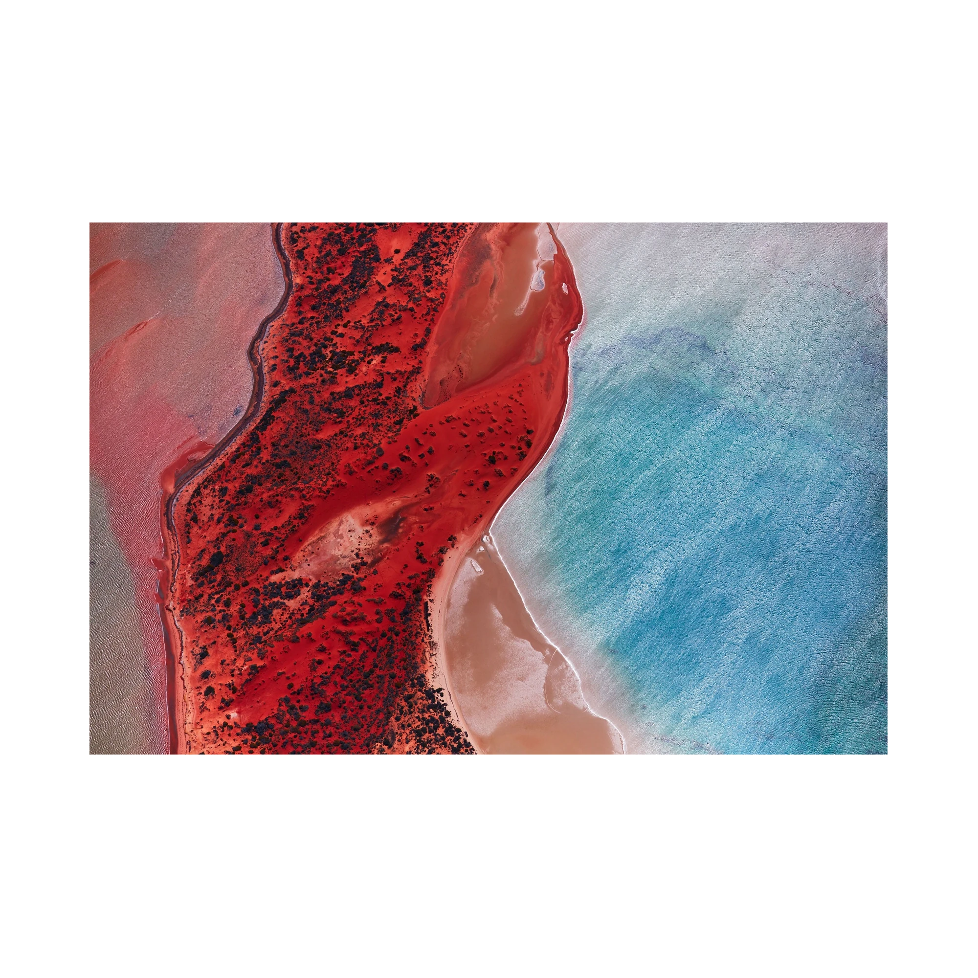 Reflections, Shark Bay, Horizontal Print, print only