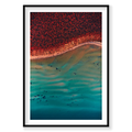 Ripples, Shark Bay, Vertical Print, black Victorian Ash frame