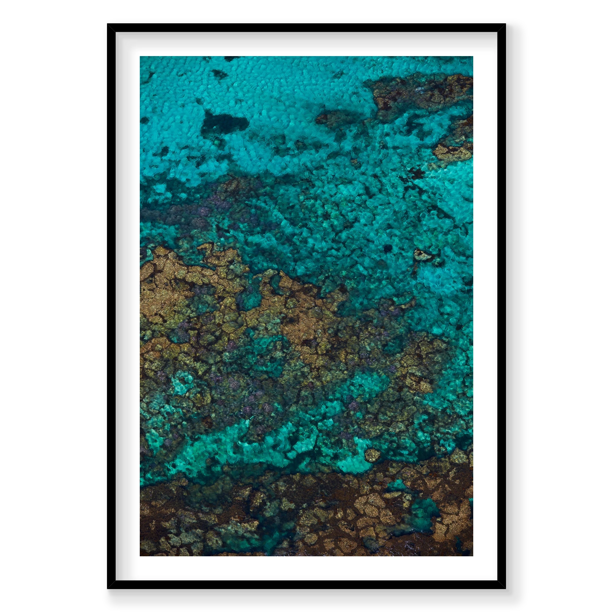 Rotto Reef, Rottnest Island, WA, Vertical Print, black Victorian Ash frame