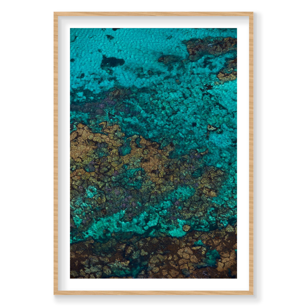 Rotto Reef, Rottnest Island, WA, Vertical Print, natural Victorian Ash frame