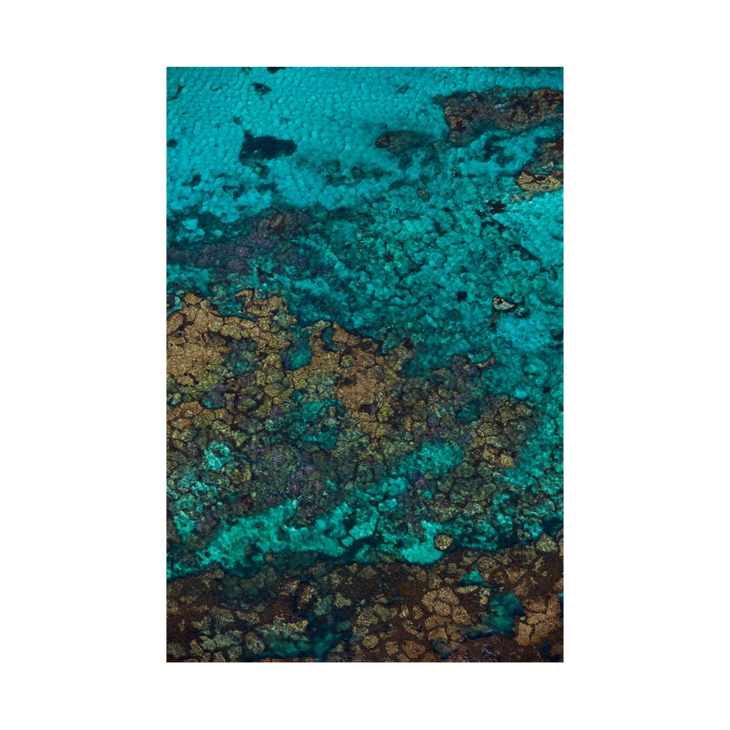 Rotto Reef, Rottnest Island, WA, Vertical Print, print only