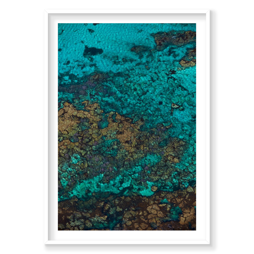 Rotto Reef, Rottnest Island, WA, Vertical Print, white Victorian Ash frame