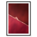 Shades, Hutt Lagoon, Vertical Print, black Victorian Ash frame