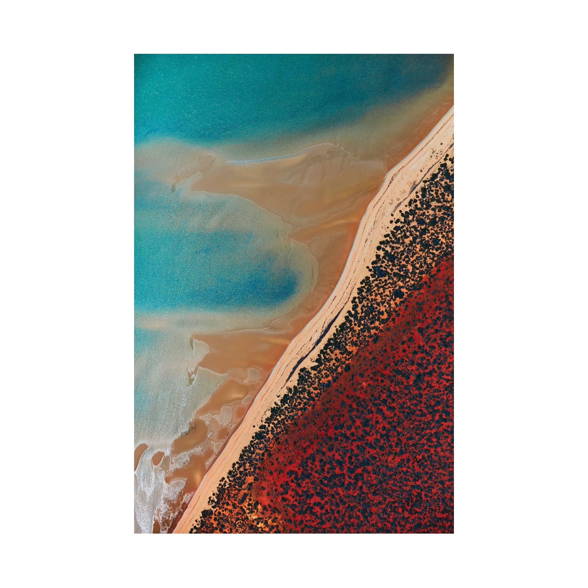 Shallow Water, Shark Bay, Vertical Print, print only