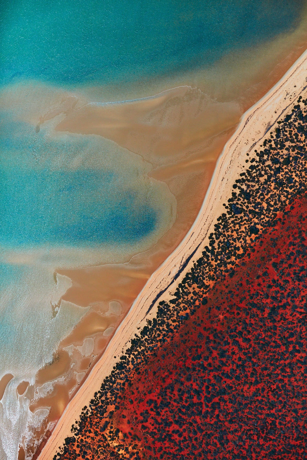 Shallow Water, Shark Bay, Vertical Print - source print