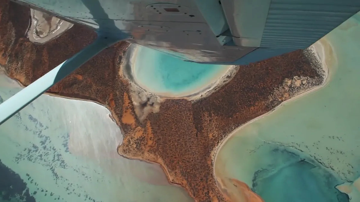 Shark Bay