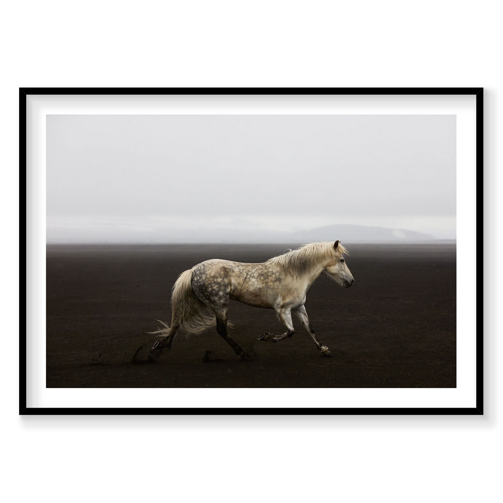 Solo, Iceland, Horizontal Print, black Victorian Ash frame