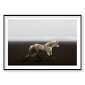 Solo, Iceland, Horizontal Print, black Victorian Ash frame