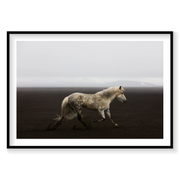 Solo, Iceland, Horizontal Print