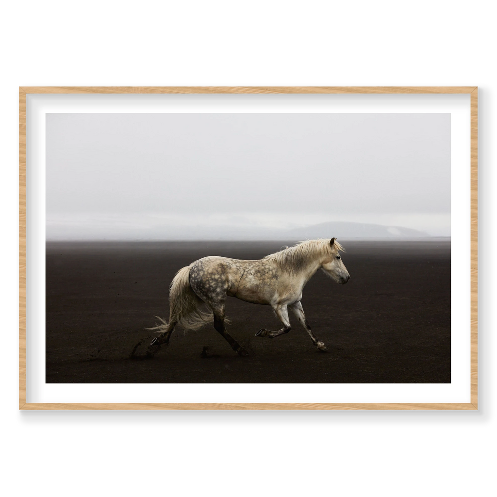 Solo, Iceland, Horizontal Print, natural Victorian Ash frame