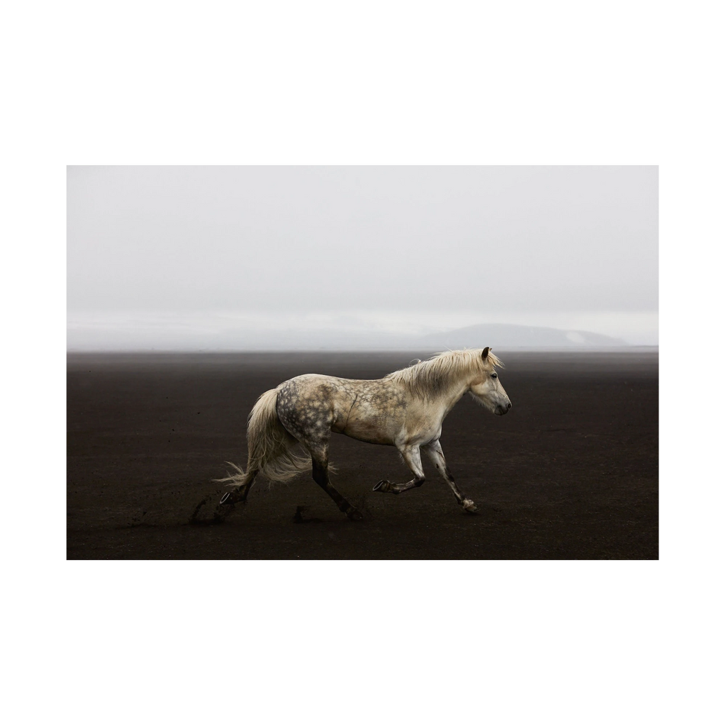 Solo, Iceland, Horizontal Print, print only