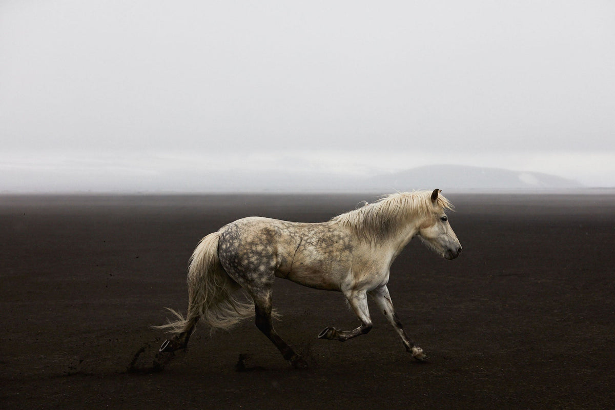 Solo, Iceland, Horizontal Print