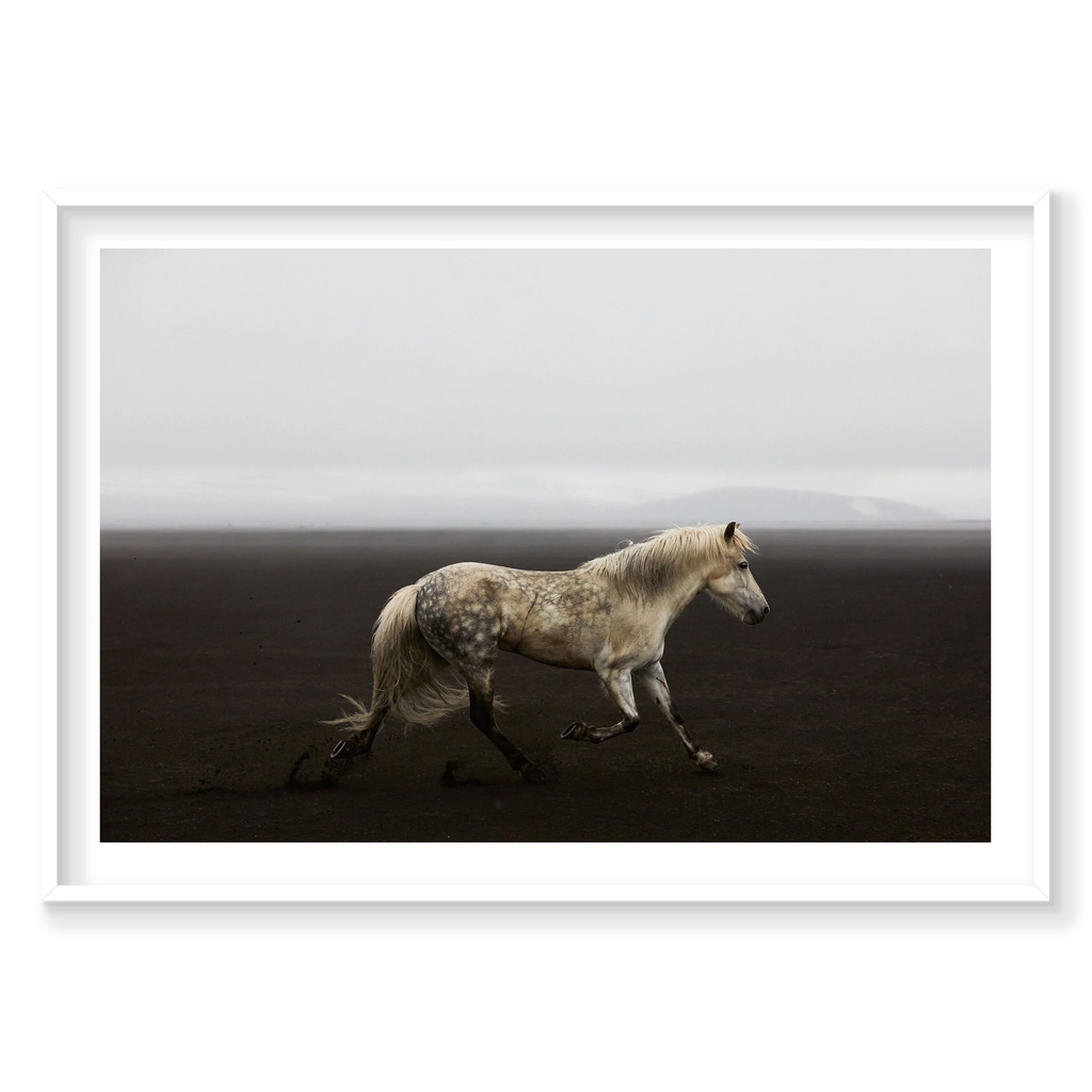 Solo, Iceland, Horizontal Print, white Victorian Ash frame