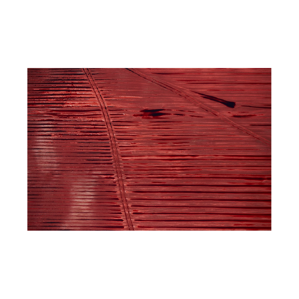 Stained, Western Australia, Horizontal Print, print only