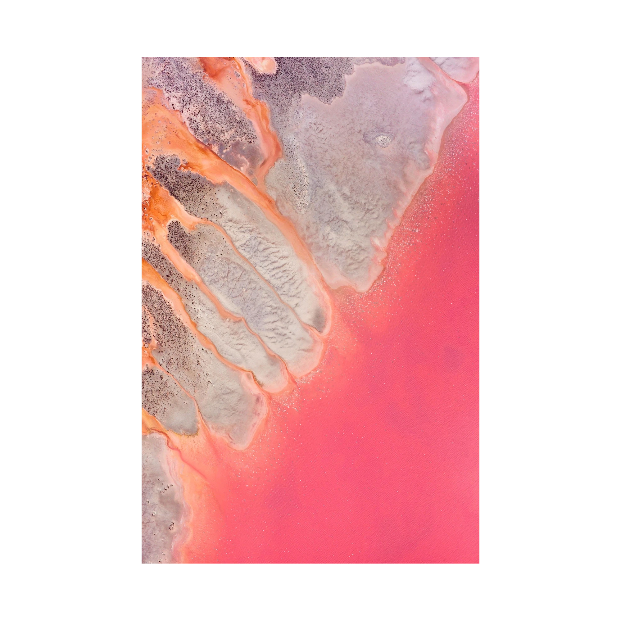 Streams , Hutt Lagoon, Vertical Print, print only