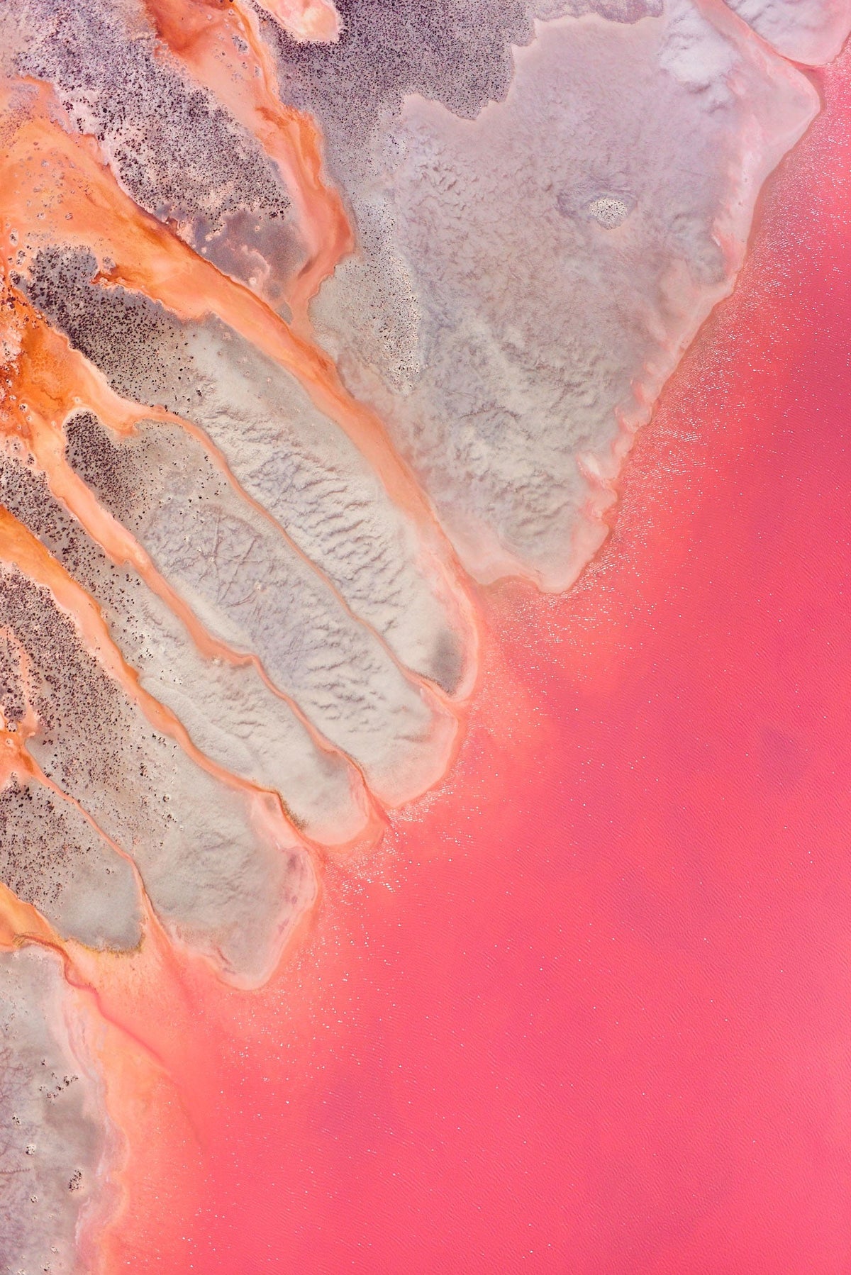 Streams , Hutt Lagoon, Vertical Print - source print