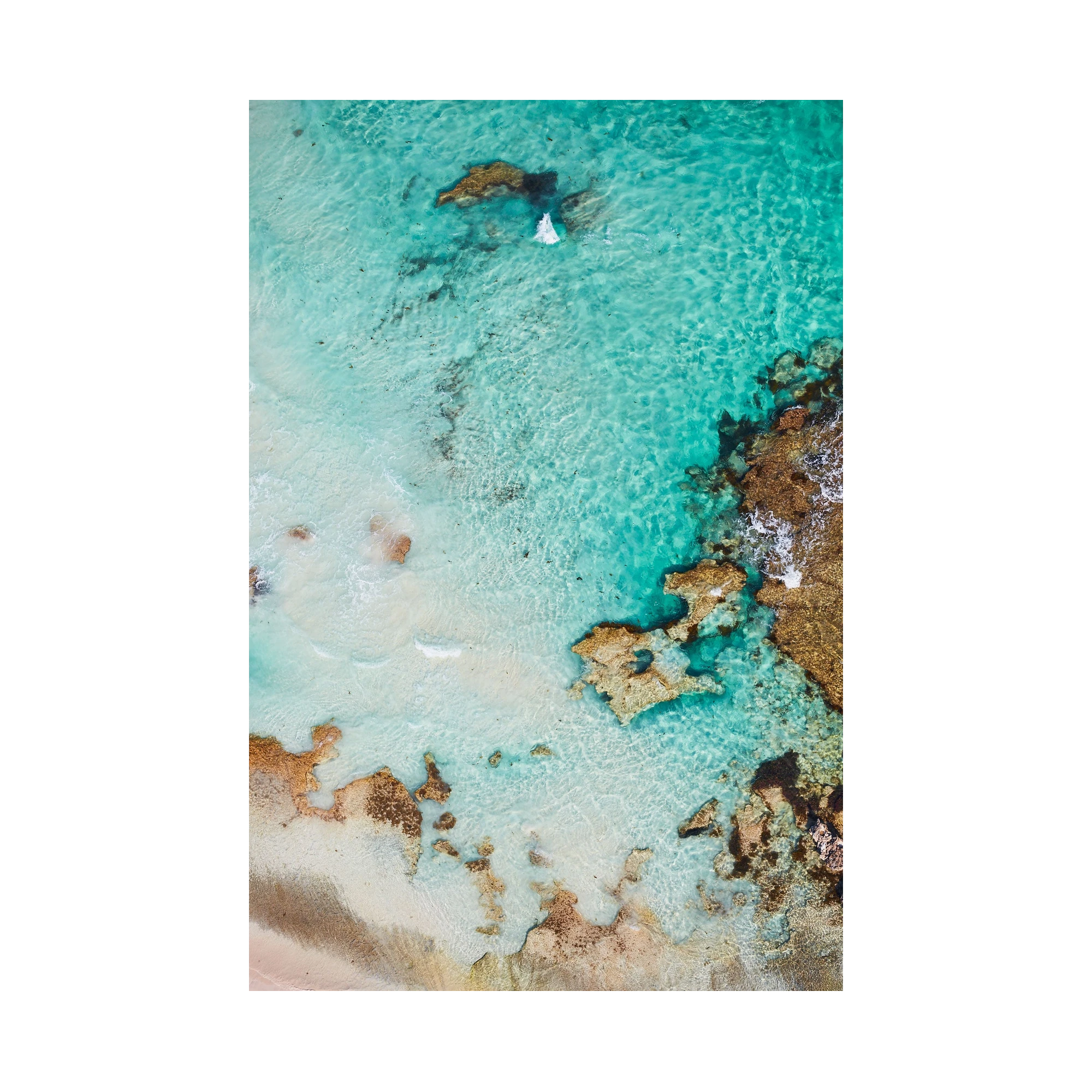 Sun Bleached, Rottnest Island, WA, Vertical Print, print only