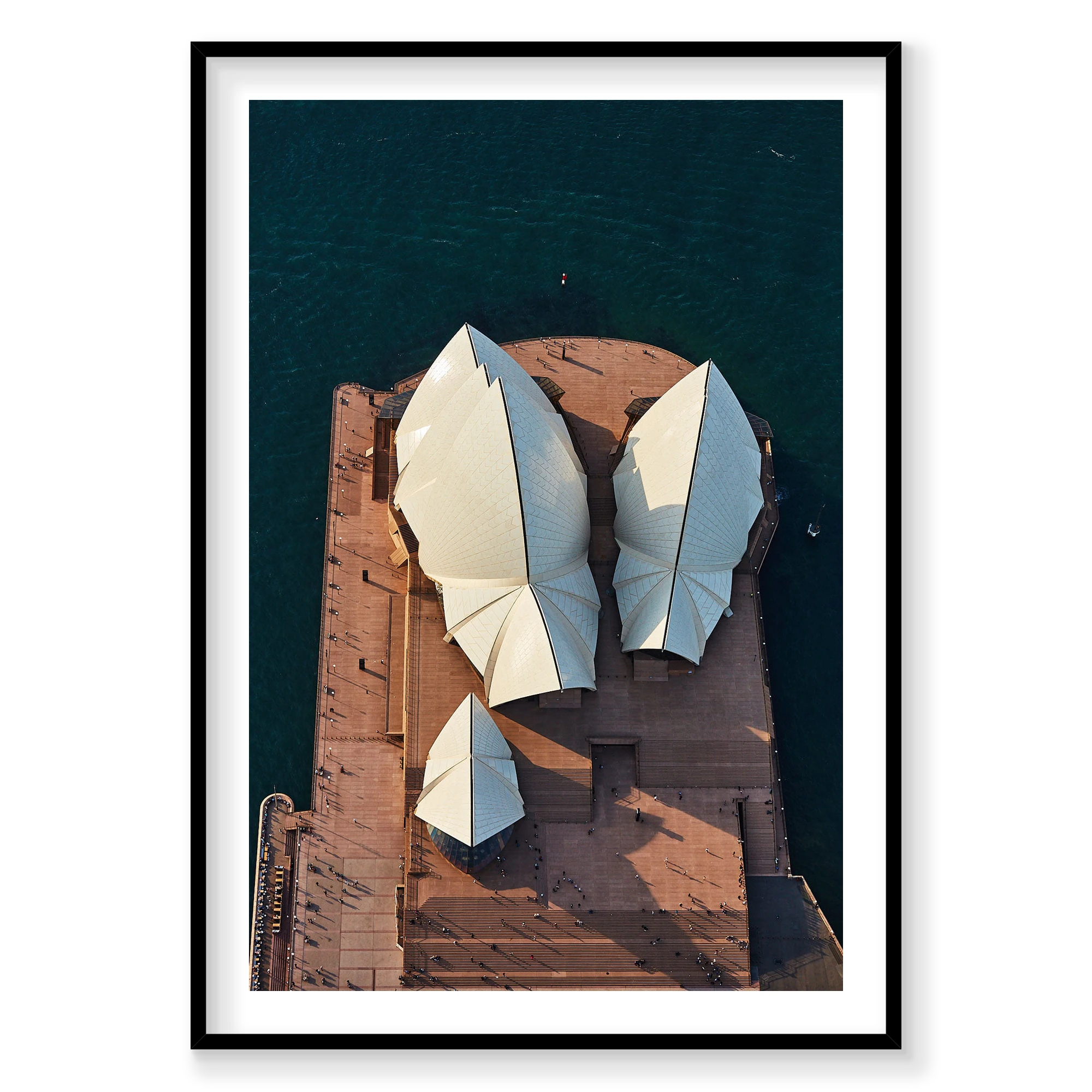 Sydney Opera House #1, Vertical Print, black Victorian Ash frame