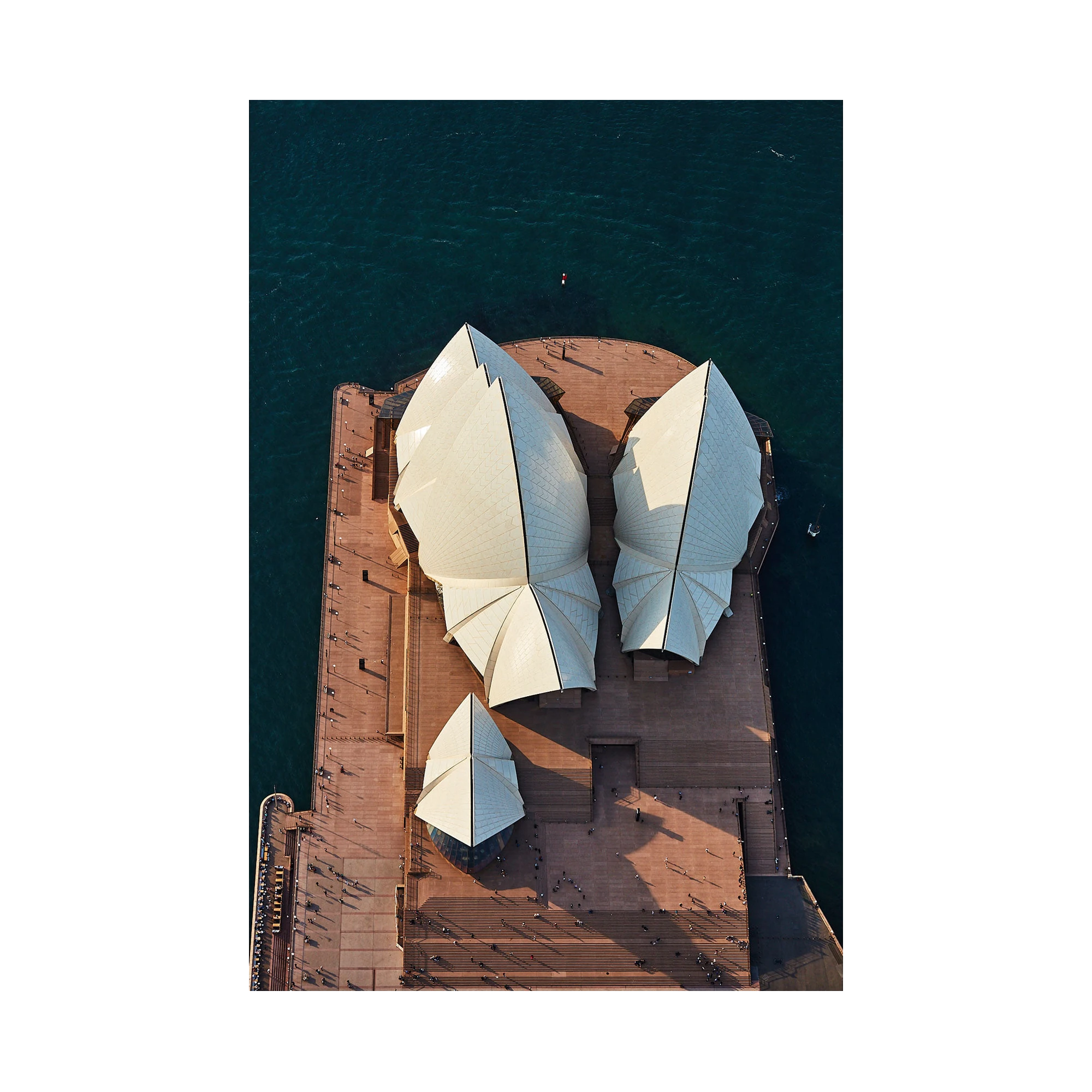 Sydney Opera House #1, Vertical Print, print only