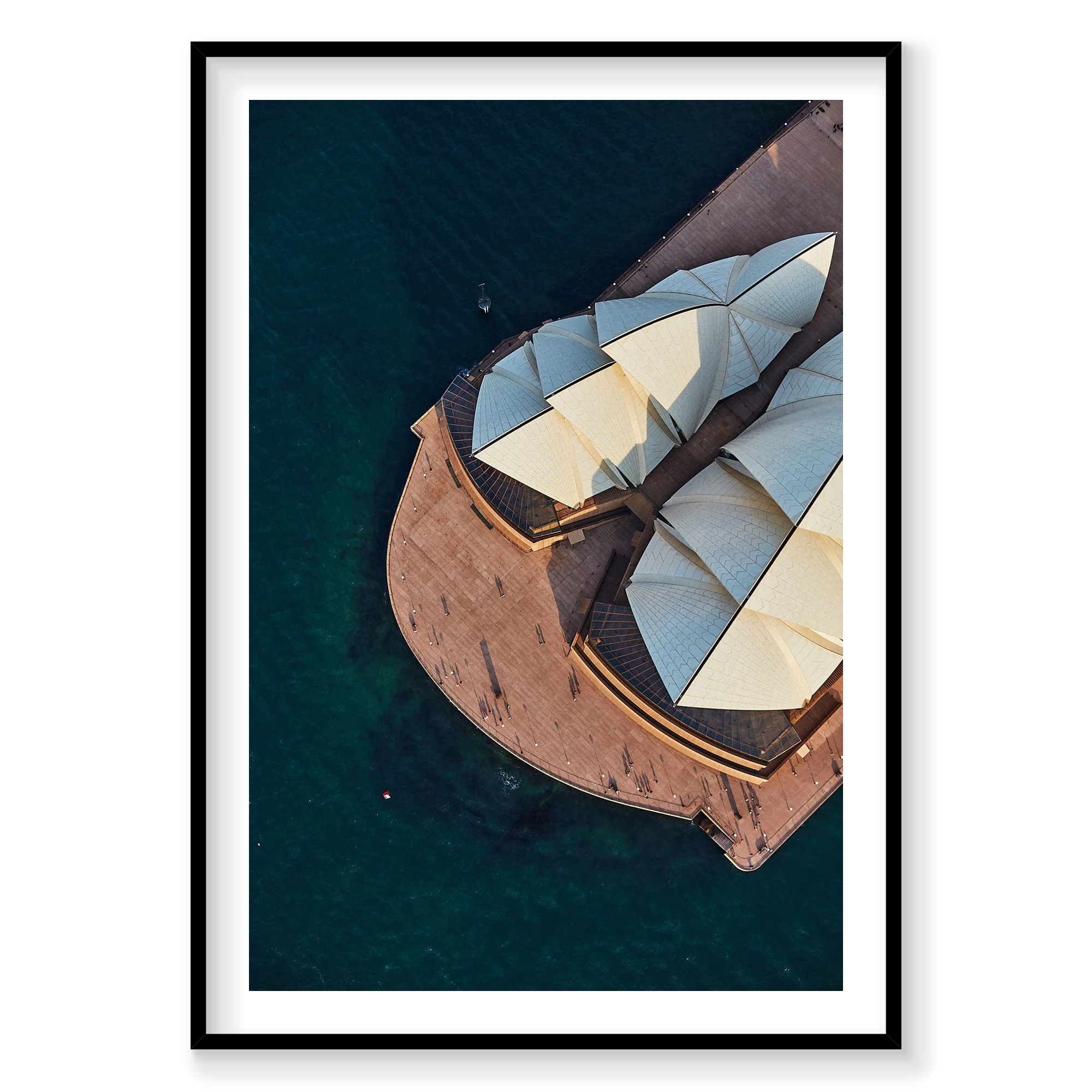 Sydney Opera House #2, Vertical Print, black Victorian Ash frame