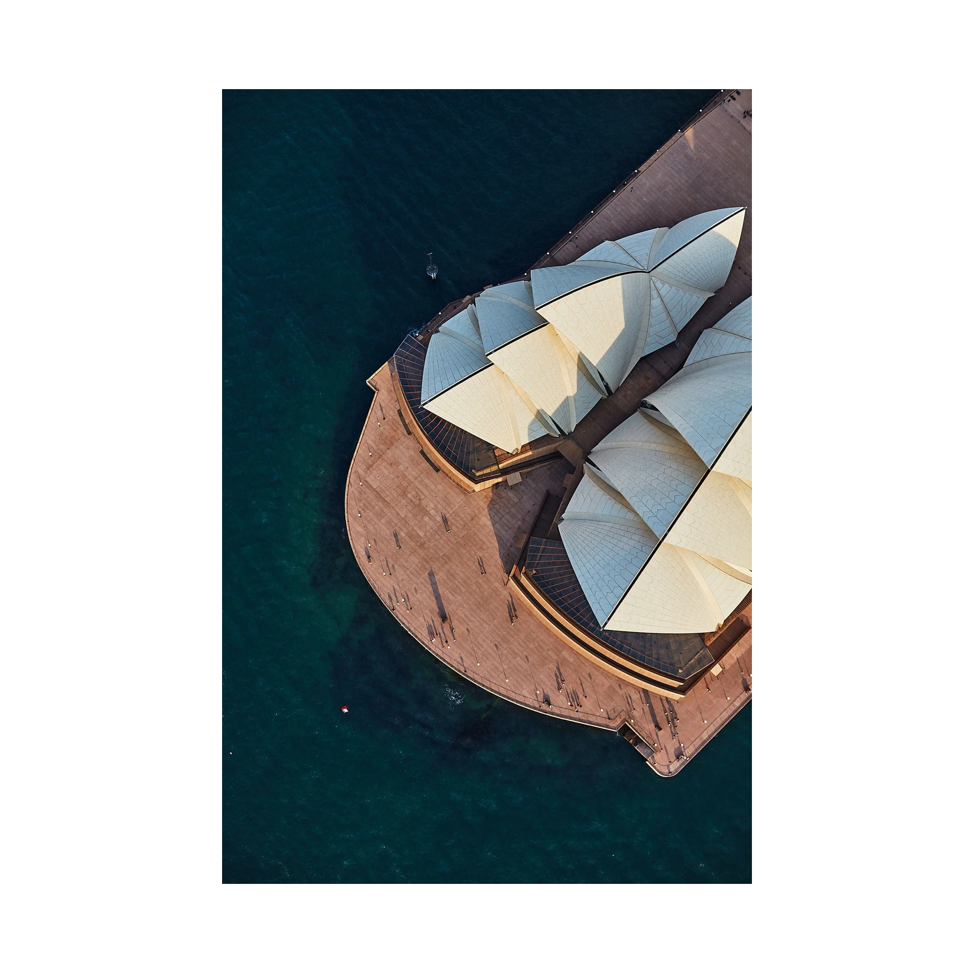 Sydney Opera House #2, Vertical Print, print only