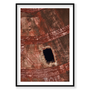 Top Soil, Western Australia, Vertical Print