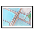 Mantis, Horizontal Print, black Victorian Ash frame