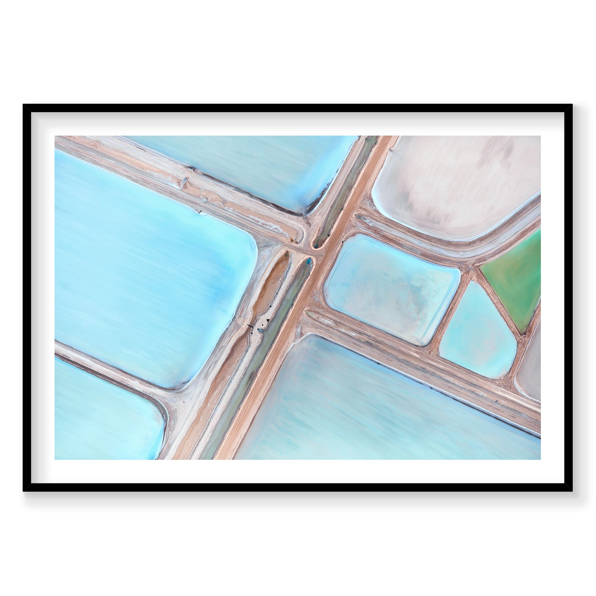 Mantis, Horizontal Print, black Victorian Ash frame