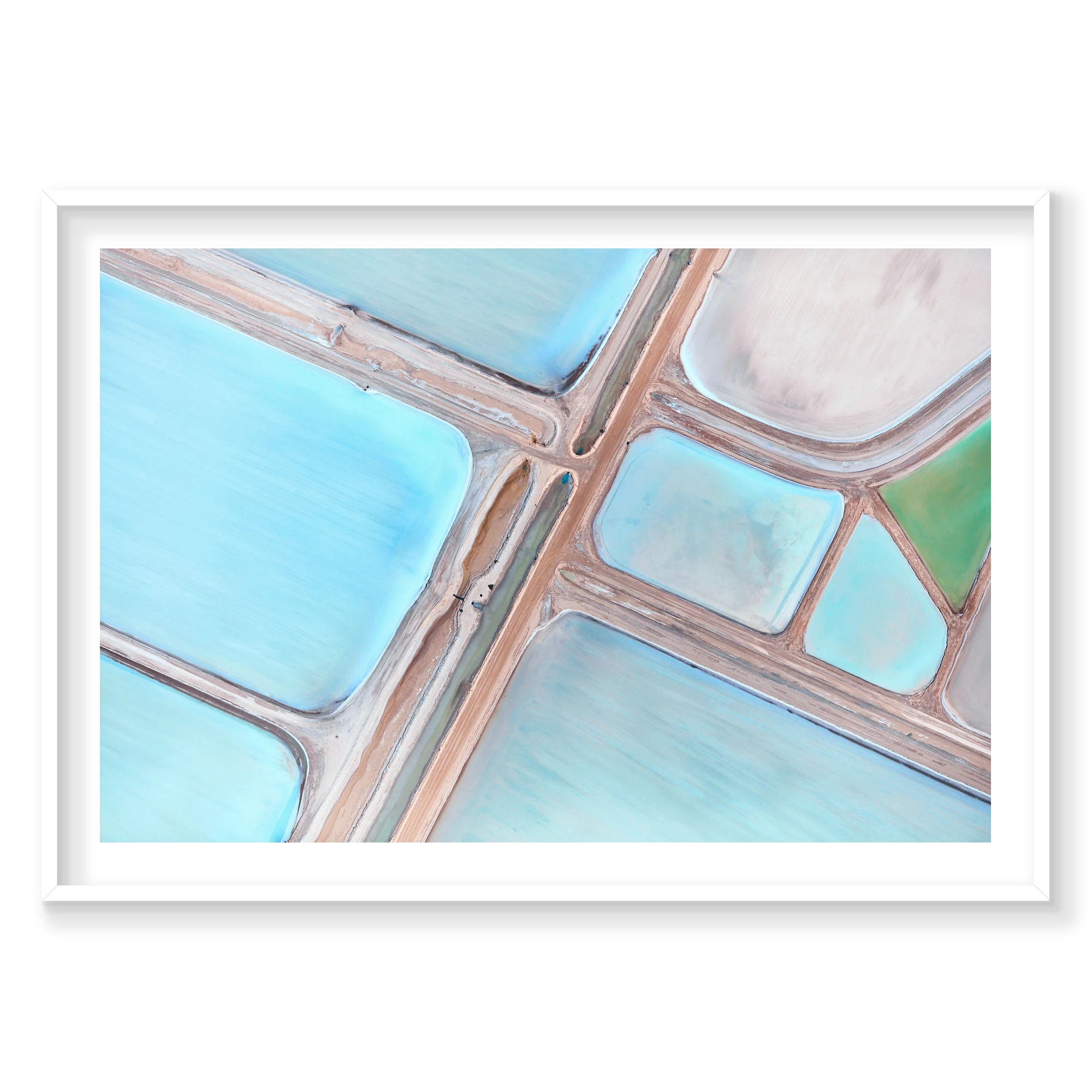Mantis, Horizontal Print, white Victorian Ash frame