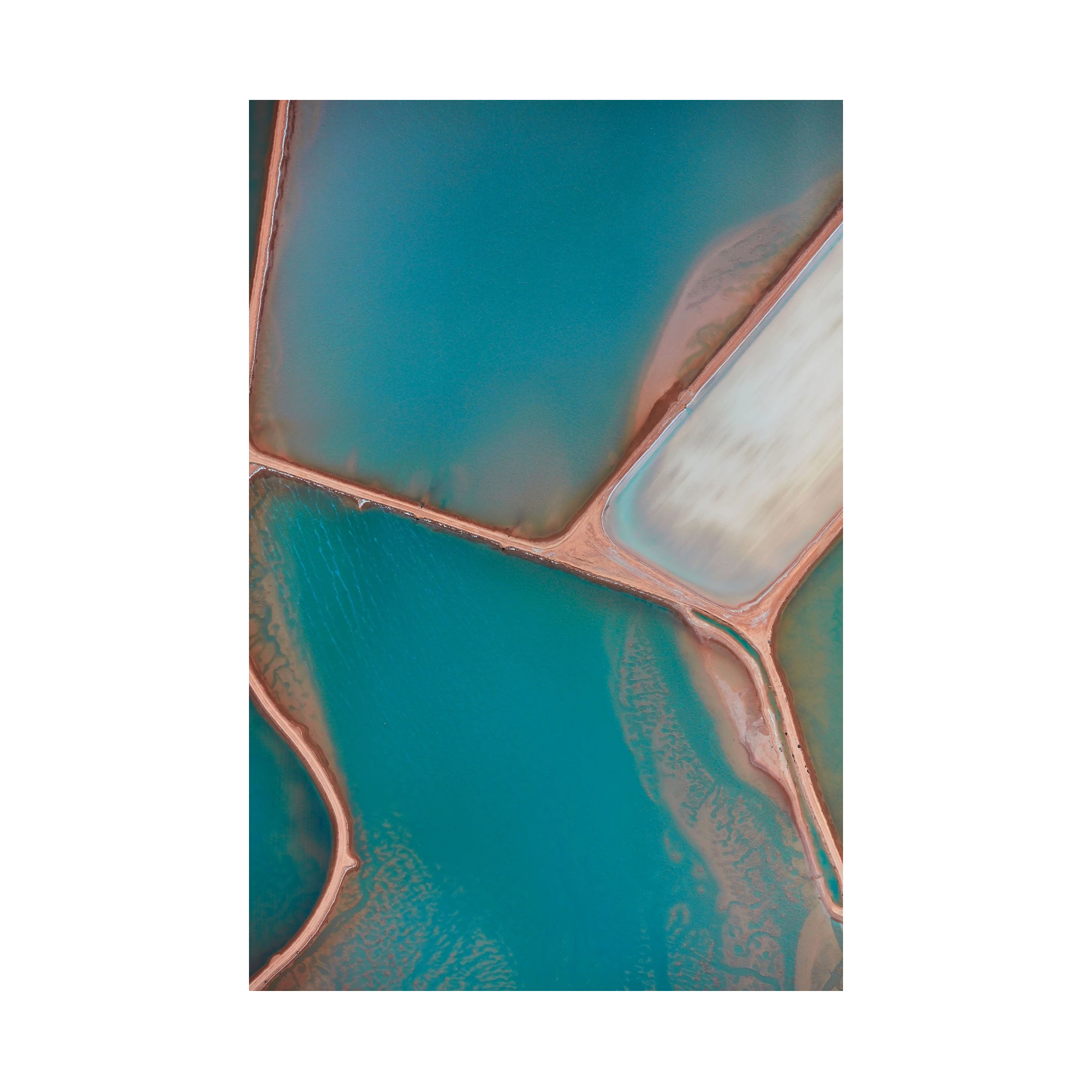 Perception, Useless Loop, Vertical Print, print only