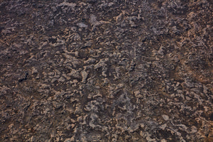 Lava Fields, Iceland, Horizontal Print